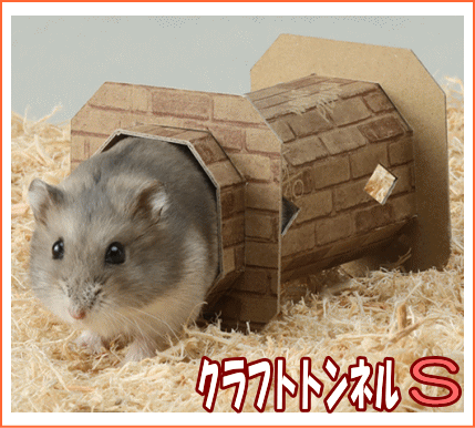 ハムスターのおもちゃ！いたずらハム...