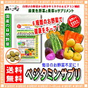 【訳あり期限2018.05】 マルチ野菜サプリメント 「ベジタミンサプリ」(250mg×180粒) 国産 の自然お野菜で今日も健康 ◇ 毎日6粒お手軽な野菜生活 森のこかげ 健やかハウス