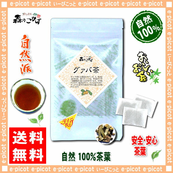 6【送料無料】 グァバ茶 (2g×50p)「ティーパック」≪ガバ茶 100％≫ グアバ シジュウム茶 グァバティー グヮバ グアヴァ ぐわば 健康茶 ティーバッグ 森のこかげ 健やかハウス