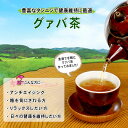 7【お徳用TB送料無料】 グァバ茶 (2g×100p) ティーパック ≪ ガバ茶 100％≫ グアバ シジュウム茶 グァバティー グヮバ グアヴァ ぐわば 健康茶 ティーバッグ (残留農薬検査済み) 北海道 沖縄 離島も無料配送可 森のこかげ 健やかハウス 健康TB