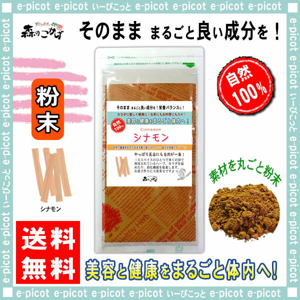 B【送料無料】 シナモンティー (粉末) パウダー [300g] しなもん ふんまつ シナモン パウダーティー カシア 桂皮 桂皮茶 粉末茶 しなもんてぃ Shinamon 森のこかげ 健やかハウス