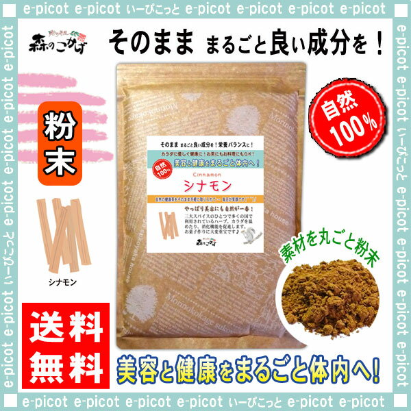 B【送料無料】 シナモンティー (粉末) パウダー [500g] しなもん ふんまつ シナモン パウダーティー カシア 桂皮 桂皮茶 粉末茶 しなもんてぃ Shinamon 森のこかげ 健やかハウス