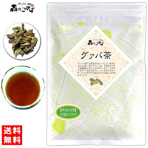 5【送料無料】 グァバ茶 (200g) 茶葉 ≪ガバ茶 100％≫ グアバ茶 グァバティー グヮバ グアヴァ ぐわば 健康茶 (残留農薬検査済み) 北海道 沖縄 離島も無料配送可 森のこかげ 健やかハウス 健リフ