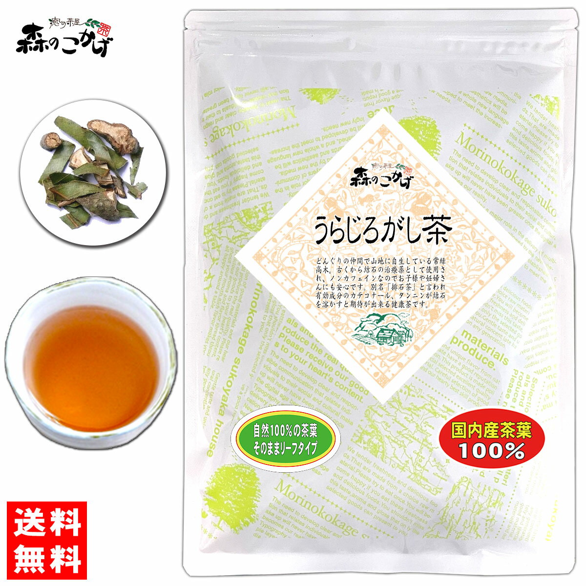 5【送料無料】国産 うらじろがし茶 (130g) 茶葉 徳島・愛媛県産 自然栽培品 ≪ ウラジロガシ茶 100％≫ 裏白樫茶 うらじろがし ウラジロガシ りゅうせきちゃ さすがちゃ 健康茶 流石茶 (残留農薬検査済み) 北海道 沖縄 離島も無料配送可 森のこかげ 健やかハウス 健リフ