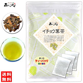 6【送料無料】 イチョウ葉茶 (3g×40p) ティーバッグ ≪銀杏茶 100％≫ 銀杏葉茶 いちょう葉 いちょうはちゃ ティーパック (残留農薬検査済み) 北海道 沖縄 離島も無料配送可 森のこかげ 健やかハウス 健少T