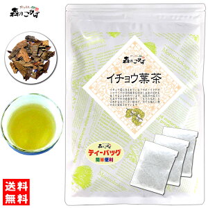 6【森のこかげ】 イチョウ葉茶 (3g×40p) ティーバッグ ≪銀杏茶 100%≫ 銀杏葉茶 いちょう葉 いちょうはちゃ ティーパック (残留農薬検査済み) 北海道 沖縄 離島も無料配送可 森のこかげ 健少T