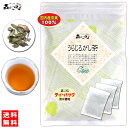 6【送料無料】 国産 うらじろがし茶 (3g×35p) 徳島 愛媛県産 自然栽培 「ティーバッグ」≪ウラジロガシ茶 100％≫ 裏白樫茶 うらじろがし 茶 ウラジロガシ りゅうせきちゃ 流石茶 (残留農薬検査済み) 北海道 沖縄 離島も無料配送可 森のこかげ 健やかハウス 健少T