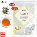 7【お徳用TB送料無料】国産 うらじろがし茶 (3g×70p) 徳島・愛媛県産 自然栽培 ティーパック ≪ウラジロガシ茶 100％≫ 裏白樫茶 うらじろがし ウラジロガシ りゅうせき 流石茶 (残留農薬検査済み) 北海道 沖縄 離島も無料配送可 森のこかげ 健やかハウス 売れ筋