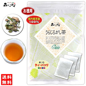 7【お徳用TB送料無料】国産 うらじろがし茶 (3g×70p) 徳島・愛媛県産 自然栽培 ティーパック ≪ウラジロガシ茶 100％≫ 裏白樫茶 うらじろがし ウラジロガシ りゅうせき 流石茶 (残留農薬検査済み) 北海道 沖縄 離島も無料配送可 森のこかげ 健やかハウス 売れ筋 健徳T