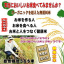 □【送料無料】 森のこかげ 2023 新米 健やか穂米 2kg(1kg×2個セット) (選べるお米 玄米 or 白米) 福岡県産 無農薬 無肥料米 北海道 沖縄 離島も無料配送可 森のこかげ 健やかハウス 3