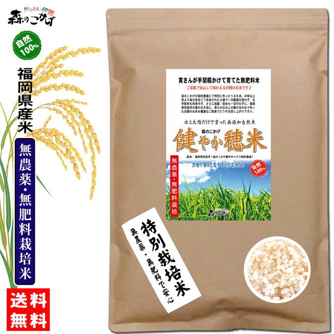 □【送料無料】 森のこかげ 健やか穂米 1kg 福岡県産 玄米 白米 無農薬 無肥料...