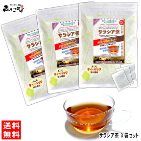 S【送料無料】 サラシア茶 (3g×100p)×3袋セット ティーパック ≪さらしあ茶≫ サラシア コタラヒム茶 インド産 健康茶 ティーバッグ (残留農薬検査済み) 北海道 沖縄 離島も無料配送可 森のこかげ 健やかハウス 売れ筋 売サラ