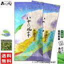 Y1【送料無料】 極上 煎茶 白折茶 (茎茶) (100g×2個セット) 福岡県 ≪八女茶≫ 緑茶 やめちゃ ごくじょう せんちゃ しらおりちゃ (残留農薬検査済み) 北海道 沖縄 離島も無料配送可 森のこかげ 健やかハウス やめ茶