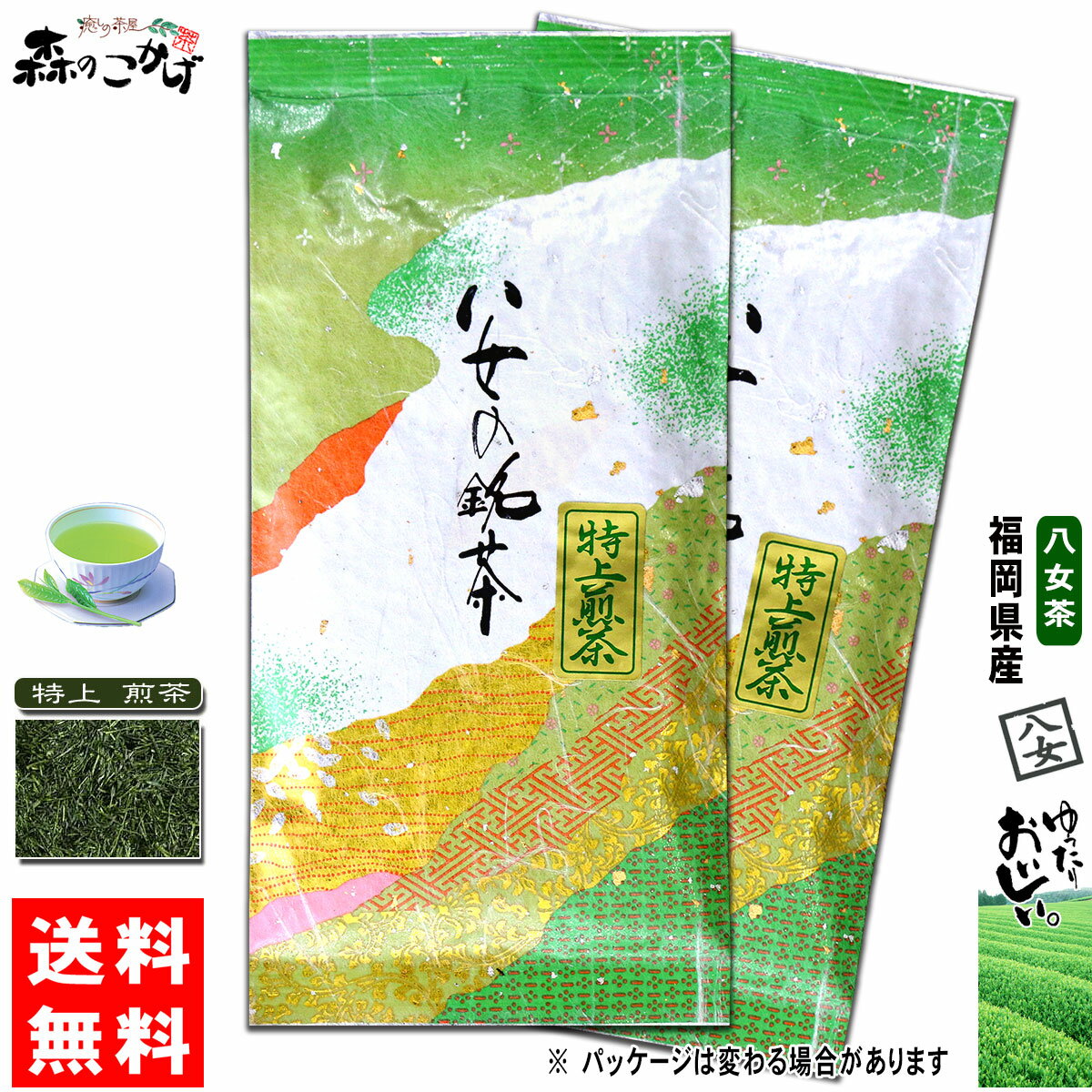 Y1【送料無料】 特上 煎茶 (100g×2個セット) 福岡