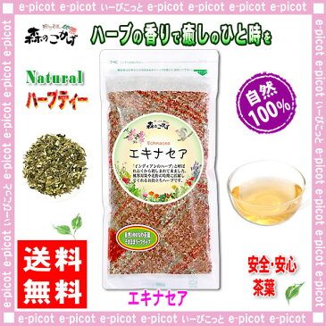 【送料無料】 エキナセア (TBカット)(100g) オーガニック原料使用 インディアンのハーブと呼ばれる 森のこかげ 健やかハウス