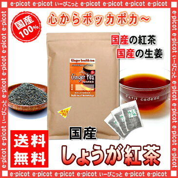 【送料無料】 芯から温まる手作り“ 国産 しょうが紅茶 ” (2.5g×100p)「ティーバッグ」 寒がりの方に！ 生姜ショウガ紅茶 森のこかげ 健やかハウス