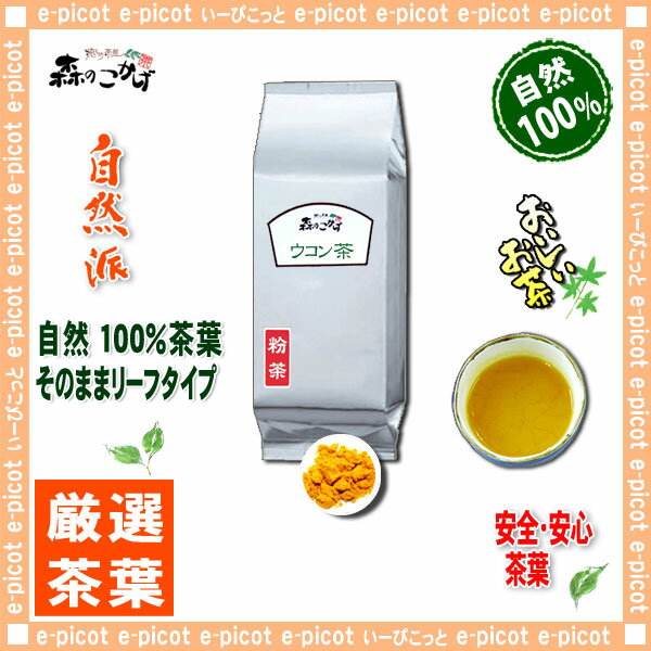 B【送料無料】 ウコン茶 (粉末）パウダー [500g] うこん茶 ウコン 粉末茶 うこんちゃ パウダーティー うっちん茶 森のこかげ 健やかハウス