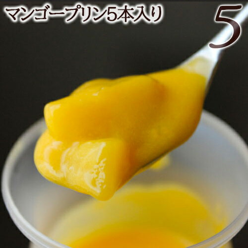 バレンタイン2021完熟マンゴープリン(5本セット) バレンタイン2021 内祝 内祝い 出産内祝い 結婚内祝い 新築内祝い 御礼 誕生日 お祝い お返し 返礼品