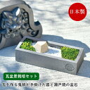 【あす楽】 苔 栽培セット 瓦盆景 KAWARA-BONKEI GD-1010 聖新陶芸 栽培キット 庭園苔 瀬戸焼 鬼瓦 三洲瓦 スナゴケ 室内 栽培 園芸 ...