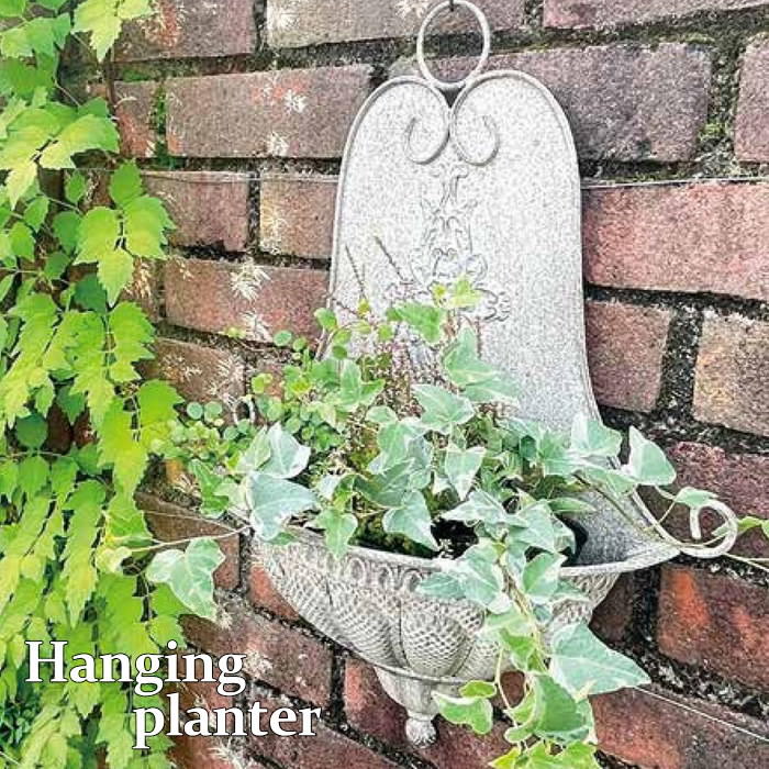 【あす楽】 プランター 植木鉢 ウォールシャビーシックプランターS 5035 村田屋産業 壁掛け ハンギング 吊り鉢 アイアン 底穴 穴あり 園芸 家庭菜園 ガーデニング 花壇 ガーデン 庭 植物 花 玄関 インテリア 雑貨 かわいい おしゃれ オブジェ 観葉植物 寄せ植え 多肉植物のサムネイル
