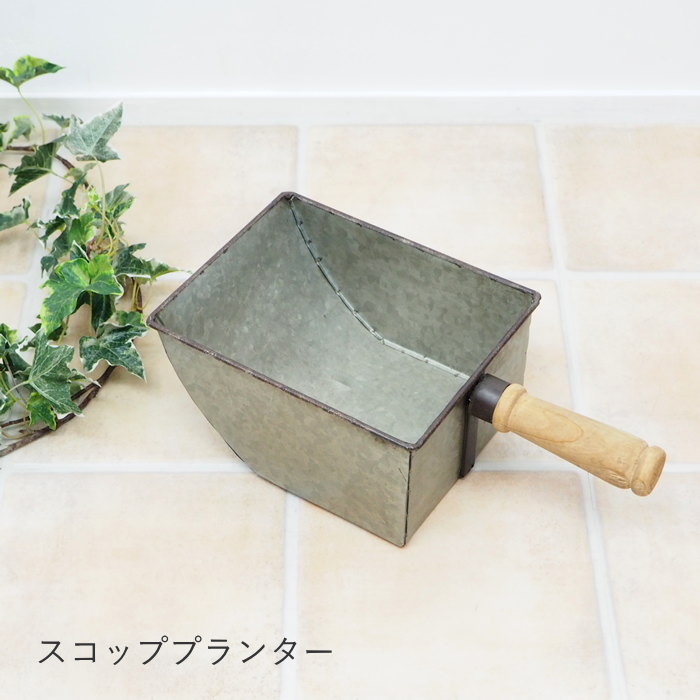 楽天市場】ミニスコップ(植木鉢・プランター|ガーデニング 楽天市場】ミニスコップ(植木鉢・プランター|ガーデニング