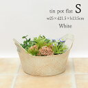 【あす楽】 プランター ダマスクティンフラット S White 5449 村田屋産業 おしゃれ 寄せ植え ガーデニング 植木鉢 ポット フラワーポット 穴あり 丸型 ブリキポット 持ち手付き 鉢 カバー ブリキ インテリア 園芸 花 ハーブ 多肉 植物 観葉植物 花壇 かわいい アンティーク