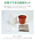 e-piglet:10007415のサンプル画像2