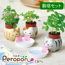 【即出荷】 栽培セット ペロポンキャッツ GD-94901 GD-94902 GD-94903 聖新陶芸 栽培キット 室内 ハーブ ミント 植物 野菜 花 栽培...
