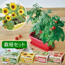 【あす楽】 栽培セット エンジョイプランター フラワー GD-931 GD-932 GD-1044 聖新陶芸 トマト ミニトマト エダマメ ヒマワリ イチゴ 栽培キット 野菜 家庭菜園 夏休み 自由研究 観葉植物 初心者向け ギフト お土産 日本製 母の日 父の日 エンジョイプランターベジ 01