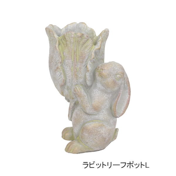 今年最初に買った可愛いプランター&ふわふわ金魚ちゃんの寄せ 今年最初に買った可愛いプランター&ふわふわ金魚ちゃんの寄せ