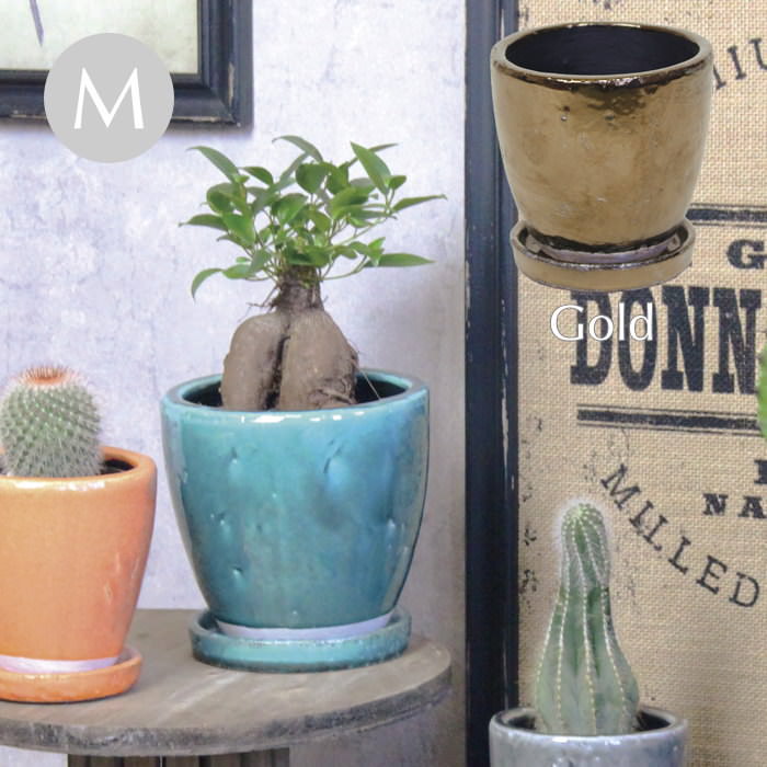 【あす楽】 植木鉢 おしゃれ プランター キュリオポットM/Gold 1706 村田屋産業 ガーデニング 鉢 ポット 底穴 穴あり 受け皿付き カラーポット 陶器 化粧鉢 テラコッタ 鉢カバー 寄せ植え 5号 4号 インテリア 園芸 花 ハーブ 多肉 植物 かわいい ゴールド 【あす楽対応】