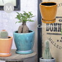 【SALE】【あす楽】 植木鉢 キュリオポットM/CamelBrown キャメルブラウン 1709 村田屋産業 プランター ガーデニング 鉢 ポット 底穴 穴あ...