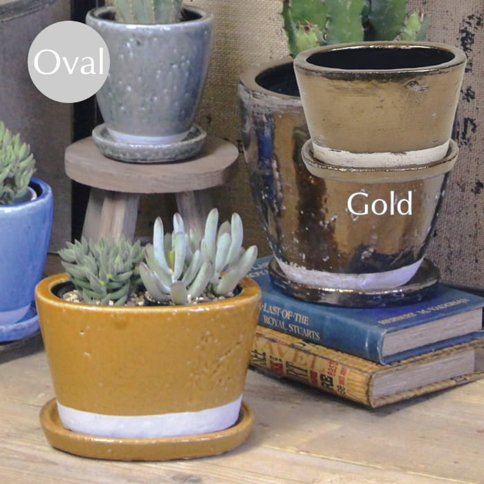 【あす楽】 植木鉢 おしゃれ プランター キュリオオーバルポットGold 1718 村田屋産業 ガーデニング 鉢 ポット 底穴 穴あり 受け皿付き カラーポット 陶器 化粧鉢 テラコッタ 鉢カバー 寄せ植え インテリア 園芸 花 ハーブ 多肉 植物 かわいい ゴールド 【あす楽対応】