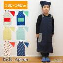 【あす楽】 エプロン キッズ 三角巾 子供エプロン キッズエプロン Lサイズ 848740-BL フレンズヒル 三角巾セット こども 子供用 男の子 女の子 小...