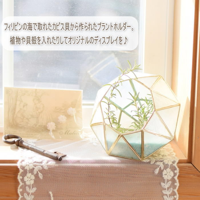 【あす楽】 プラントホルダー シェル カピススタンドプラントホルダー 三角 ダイヤ 17518-891-001 17518-891-002 トモコーポレーション カピス 小物入れ 貝 フラワーベース インテリア小物 植物 アジアン雑貨 雑貨 飾り おしゃれ かわいい 夏 ハンドメイド ディスプレイ
