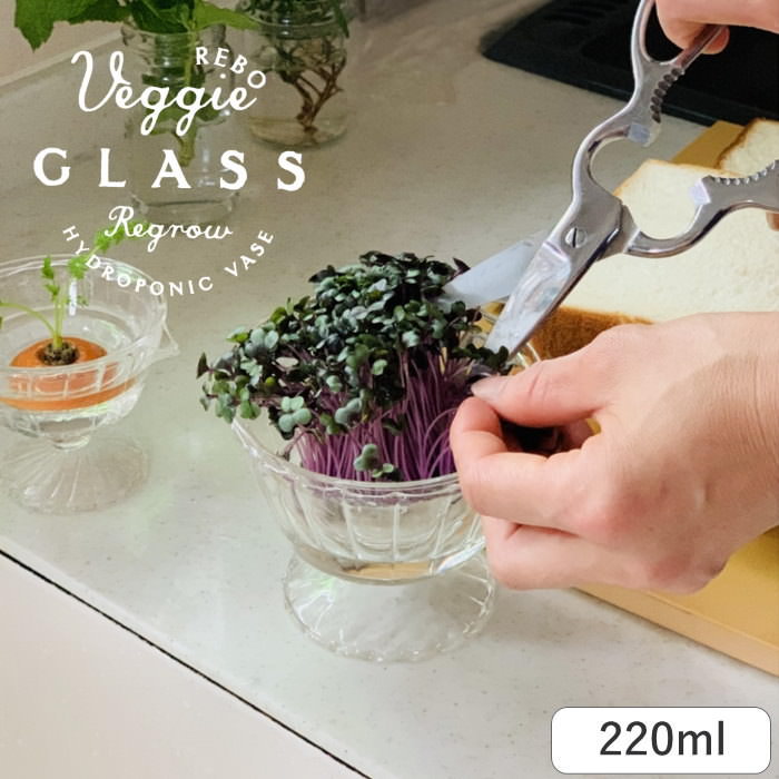 【あす楽】水耕栽培 リボベジガラスカップ L KEGY2113 スパイス SPICE 花瓶 ガラス 家庭菜園 再生野菜 リボベジ リボーンベジタブル おしゃれ 小さめ ベース 脚付き デザートグラス 野菜 植物 多肉植物 ディスプレイのサムネイル