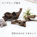 【あす楽】 流木 【おまかせ3本セット マングローブ 流木 S 約20cm BK1001S M 約25cm BK1001M SOW】 木 インテリア 玄関 飾り...