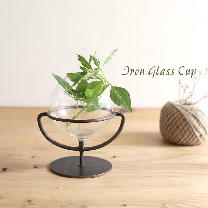 【あす楽】 花瓶 フラワーベース 一輪挿し 【アイアン＆ガラスフラワーベース アイアンガラスカップ DRDK2001 SOW】 フラワースタンド ガラス 北欧 おしゃれ ガーデニング 花びん 枝物 円柱 ミニ 観葉植物 アンティーク アイアン ガラス アイアンフラワーベース 置物のサムネイル