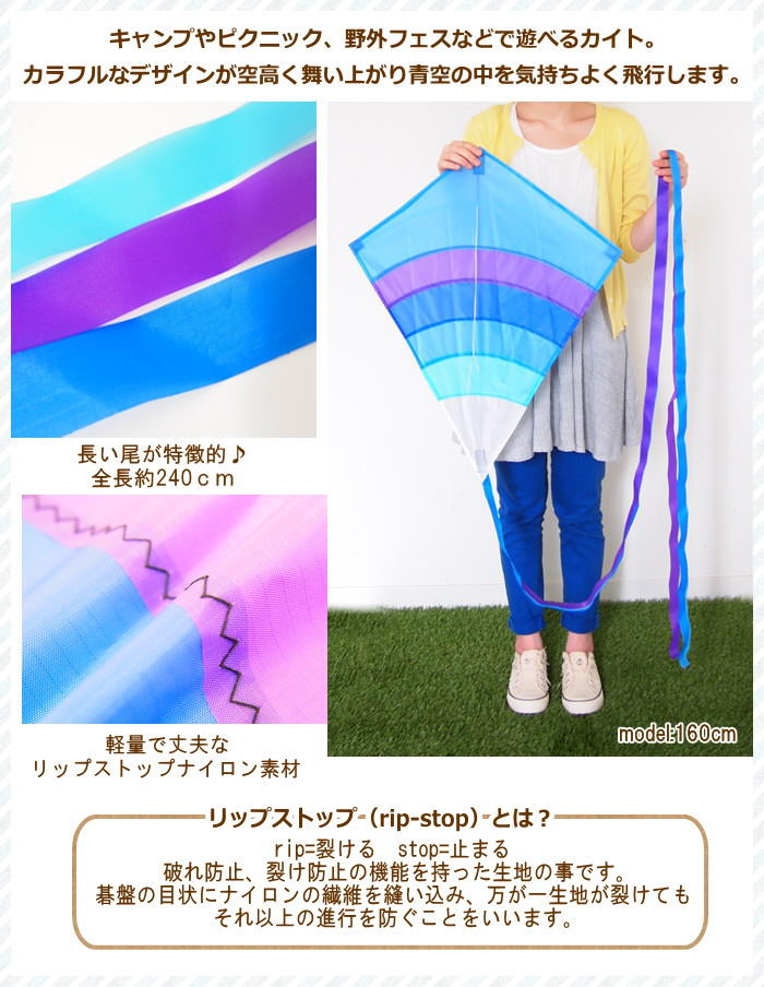69 以上節約 カイト 凧 たこ Kite タコ In The Breeze 3300 スポーツカイト 外遊び アウトドア レジャー ピクニック 公園 キャンプ キッズ スカイスポーツ Summitbrisbane Com Au