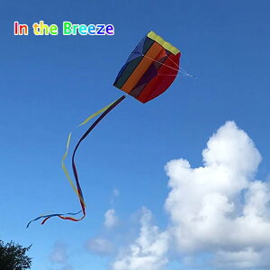 【即出荷】 カイト 凧 たこ kite タコ スポーツカイト 2911 Pouch Parafoil Kite in the breeze インザブリーズ 外遊び アウトドア レジャー ピクニック 公園 キャンプ キッズ スカイスポーツ 【定形外郵便送料無料】