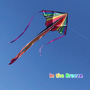 【即出荷】 カイト 凧 たこ タコ スポーツカイト in the breeze 3312 Bright Light 30" Fly-Hi Kite (+) インザブリーズ 外遊び アウトドア レジャー ピクニック 公園 キャンプ キッズ スカイスポーツ 【定形外郵便送料無料】