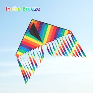 【即出荷】 カイト 凧 たこ タコ スポーツカイト in the breeze 3200 Rainbow Stripe 43" Flutterfly Delta インザブリーズ 外遊び アウトドア レジャー ピクニック 公園 キャンプ キッズ スカイスポーツ 【定形外郵便送料無料】