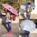 【あす楽】 折りたたみ傘 子供用 ラ