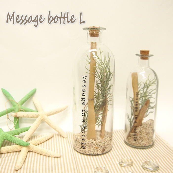 貝殻 雑貨 みんな探してる人気モノ 貝殻 雑貨 インテリア 寝具 収納 貝殻 雑貨 みんな探してる人気モノ 貝殻 雑貨 インテリア 寝具 収納