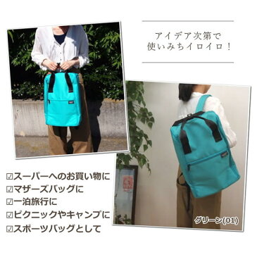 保冷バックパック クーラーバッグ エコバッグ 保冷バッグ ショッピングバッグ 買い物 リュック バックパック 保温 買い物 アウトドア 大容量 cocoro ココロ FRAPPE ピクニック おしゃれ 撥水【保冷バックパック フラッペ】【ネコポス便不可】【送料無料】