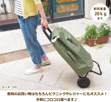 【即出荷】ショッピングカート ココロ 424742 スモールサイズ cocoro コ・コロ 保冷バッグ おしゃれ 買い物カート 保冷 保温 キャリーバッグ クーラーバッグ 折りたたみ 大容量 37L プレーン 無地 シンプル かわいい レジャー 多機能 【ネコポス便不可】【送料無料】
