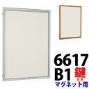 掲示板 扉式(左開き) 屋外壁面用 【 6617 スチールホワイト仕様 B1 鍵付 】 【送料無料(※沖縄・離島エリア除く)】【受注生産・製造手配後のキャンセル...