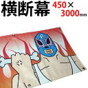 オリジナル 横断幕 懸垂幕 (ターポリン製) 印刷込 H450×W3000mm 横断幕の取付けロープ付き 【H112】【メーカー直送◎】