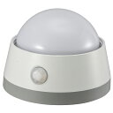 LEDセンサーライト 明暗＋人感センサー 白色LED 電池式 プッシュライト NIT-BLA6JD-WN 06-0129 オーム電機