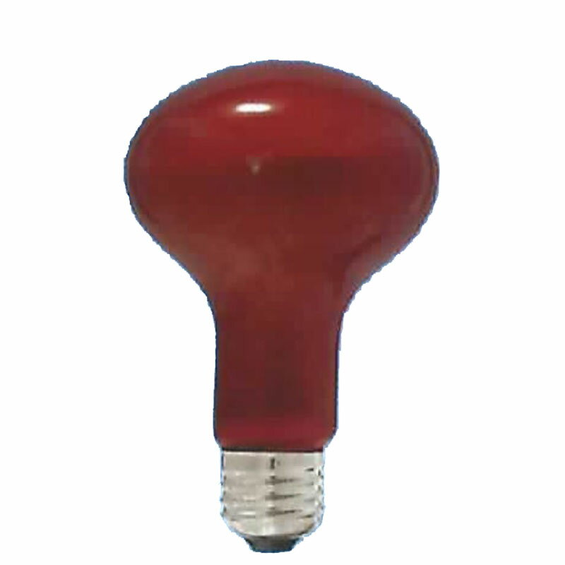 旭光 レフランプ カラー フロスト 110V 60W E26 レッド 04-6169